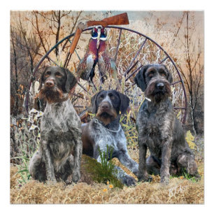 Deutsch Drahthaar Poster