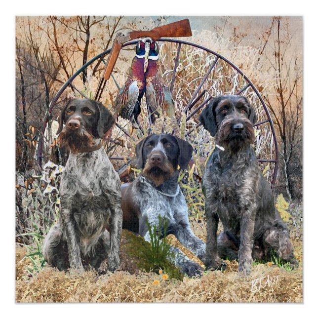 Deutsch Drahthaar   Poster (Front)