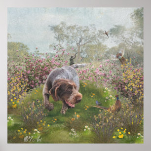 Deutsch Drahthaar Poster