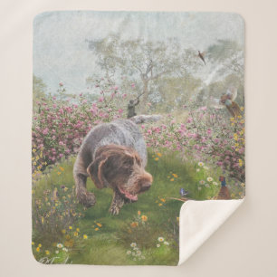 Deutsch Drahthaar Sherpa Blanket