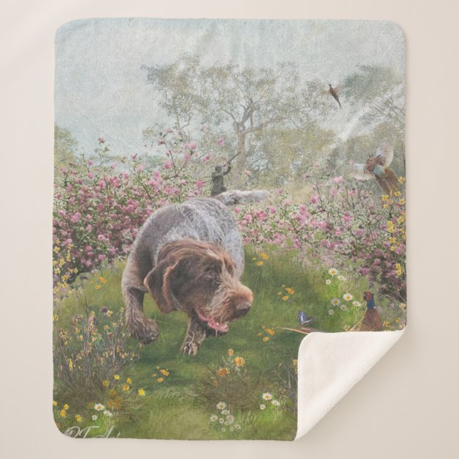 Deutsch Drahthaar Sherpa Blanket (Front)