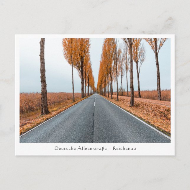 Deutsche Alleenstraße Postcard (Front)