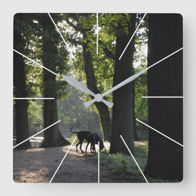 Deutsche Doggen Fotos Square Wall Clock (Front)