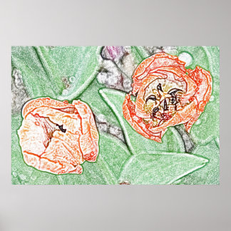 Deux affiche de tulipes orange