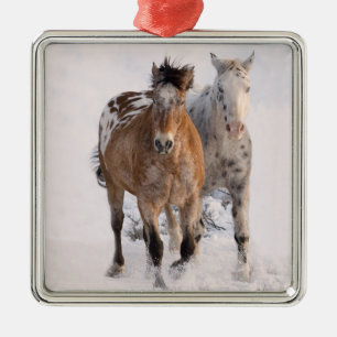 Deux Appaloosas Ornement Cheval