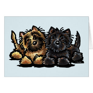 Deux Cairn Terriers
