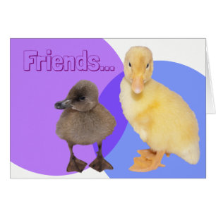 Deux Canetons Mignons Photo Amis Texte Personnalis
