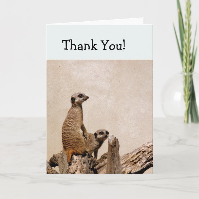 Deux Cartes de remerciements Meerkats (Devant)