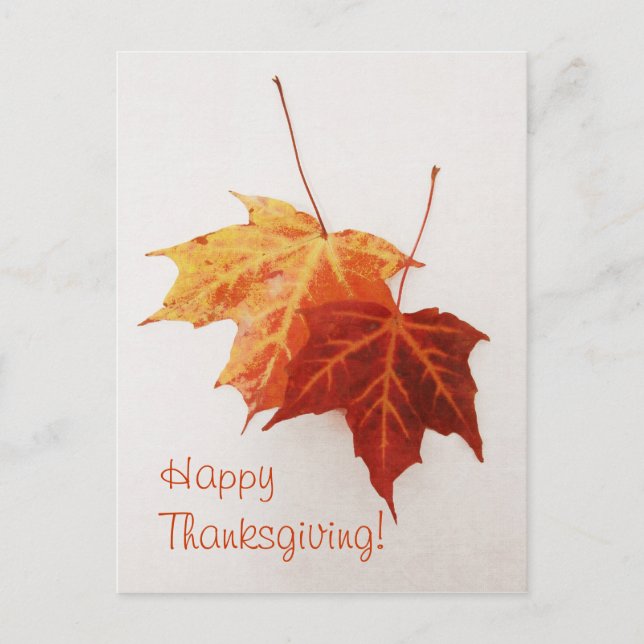 deux cartes postales feuilles en érable (Devant)