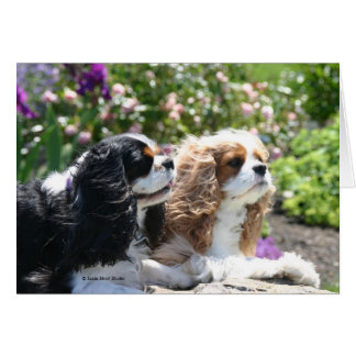 Deux Cavaliers visitent une carte jardin d'été