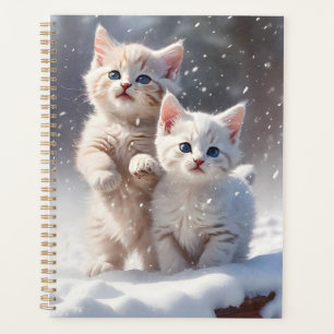 Deux chatons aux yeux bleus jouant dans la neige