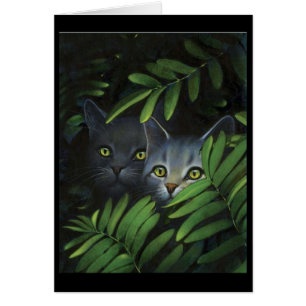Deux chats dans la carte de buissons