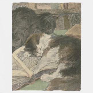 Deux chats dans la couverture d'ouatine de