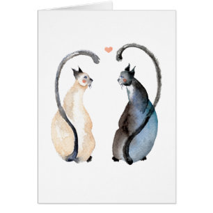 Deux chats dans l'amour