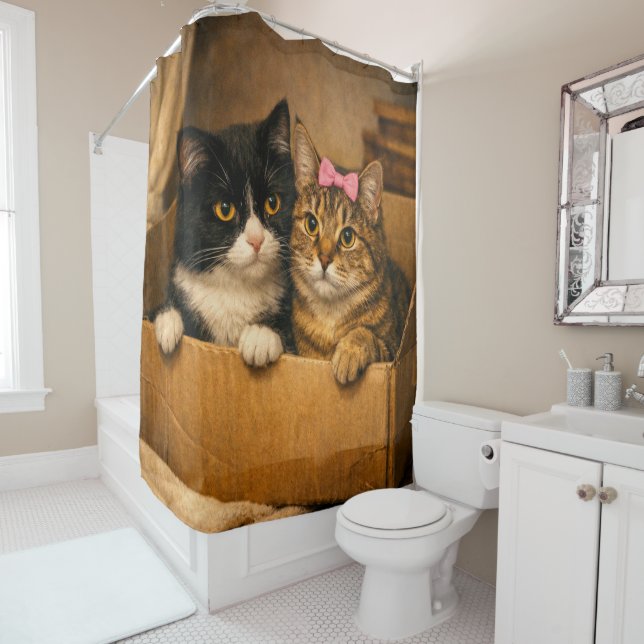 Deux chats dans une boîte en carton – Rideau de do (En situation)