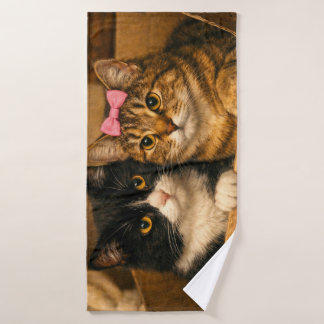 "Deux chats dans une boîte en carton – Serviette d