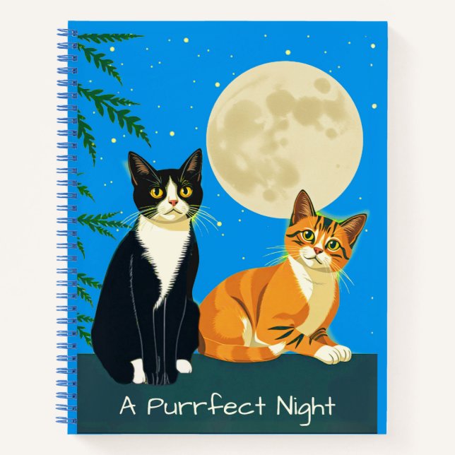 Deux chats sous le journal de la Pleine lune (Devant)