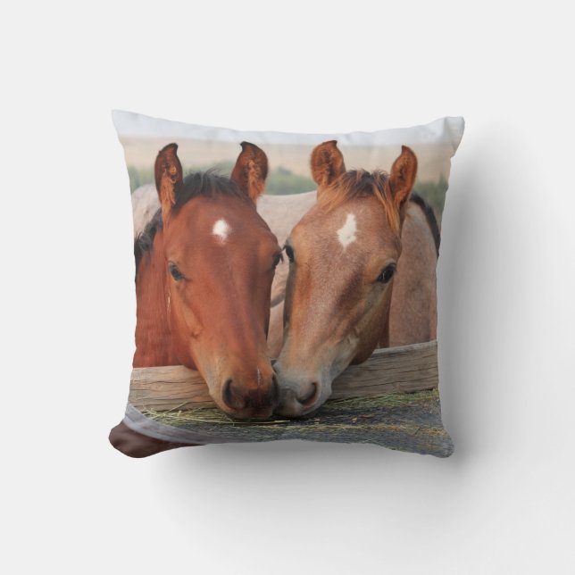 Deux chevaux Brown sur un Coussin photo de ferme (Recto)