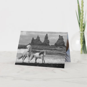 Deux chevaux islandais font un saut de carte de vo
