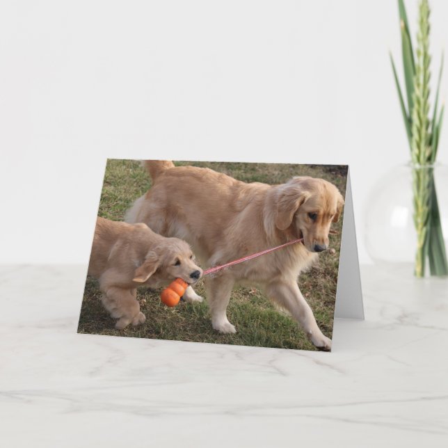 Deux chiens masquent la carte de voeux (Devant)
