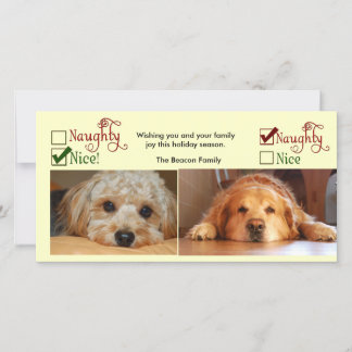 Deux chiens modèle photo de carte de Noël