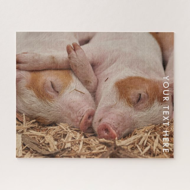 Deux cochons couchés Photo Jigsaw Puzzle (Horizontal)