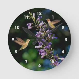 Deux Colibris En Vol Avec Horloge Murale Fleurie