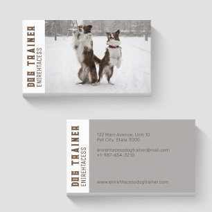 Deux collies frontalières Carte de visite d'entraî