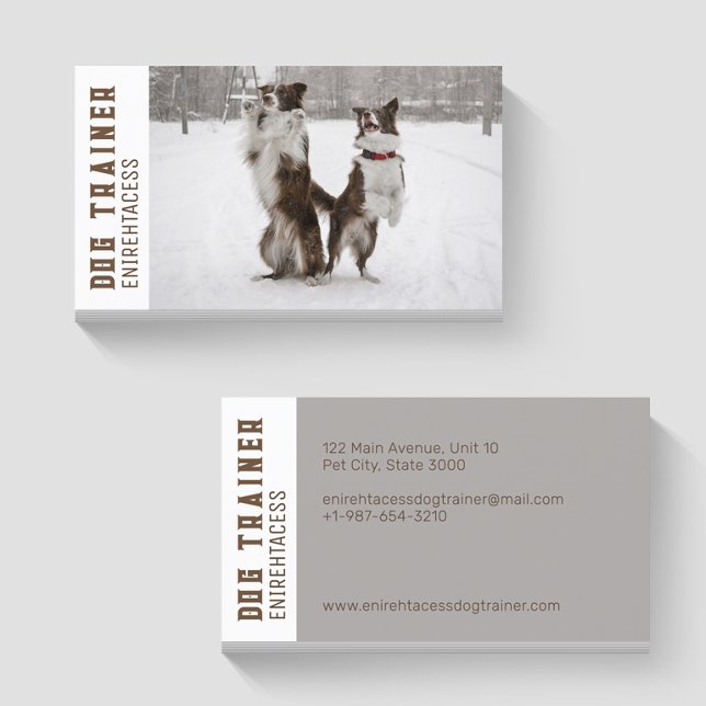 Deux collies frontalières Carte de visite d'entraî (Créateur téléchargé)
