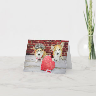 Deux Corgis avec carte de vœux de la Saint-Valenti