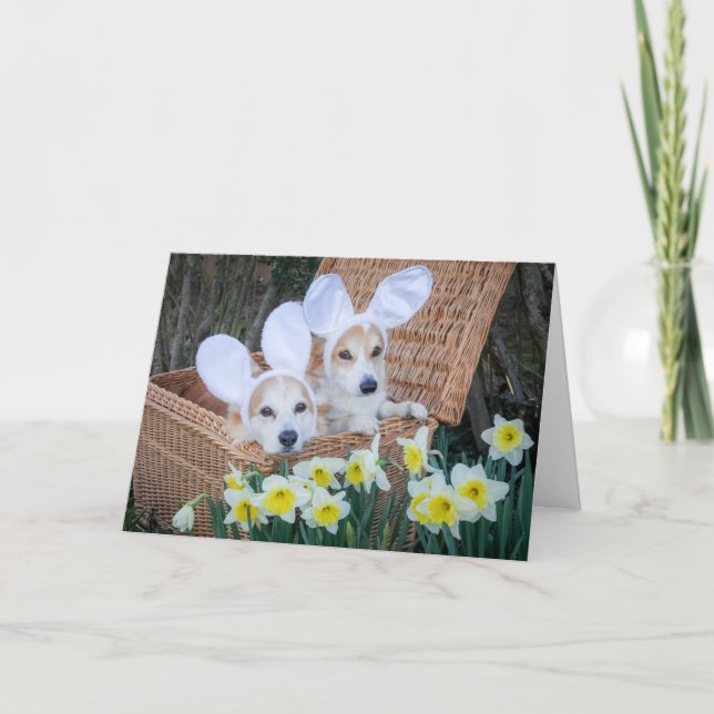 Deux Corgis dans un panier Carte de voeux Pâques (Devant)