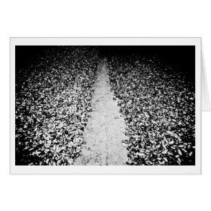 deux côtés du cacao