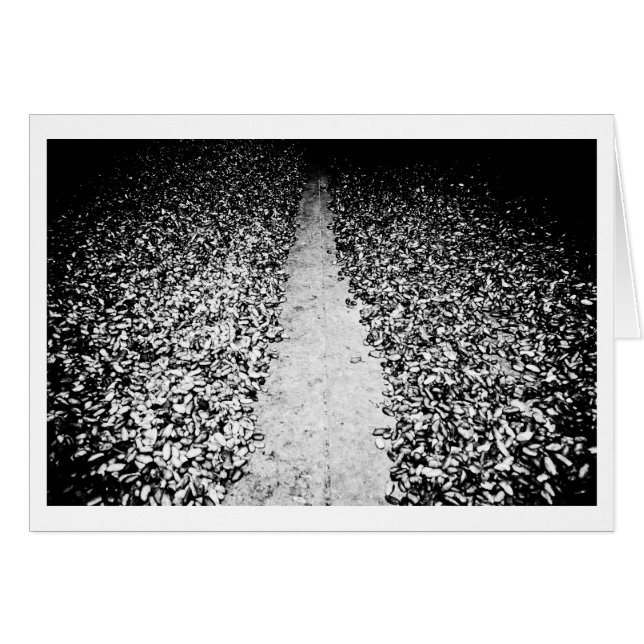 deux côtés du cacao (Devant horizontal)