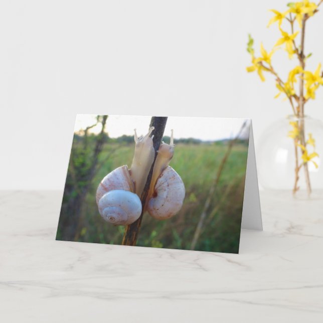 Deux escargots sur une carte à puce (Fleur jaune)