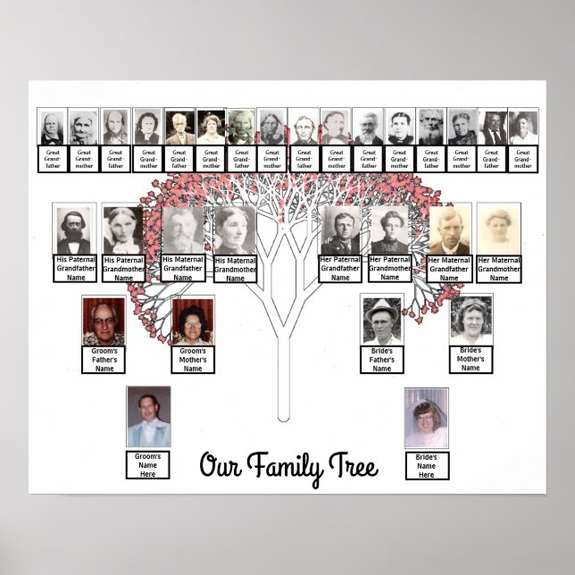 Deux Familles Arbre Fractale Rose Photo Nom Poster (Devant)
