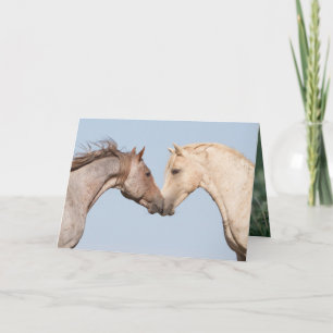 Deux Frères Rencontrer - Carte de voeux Wild Horse