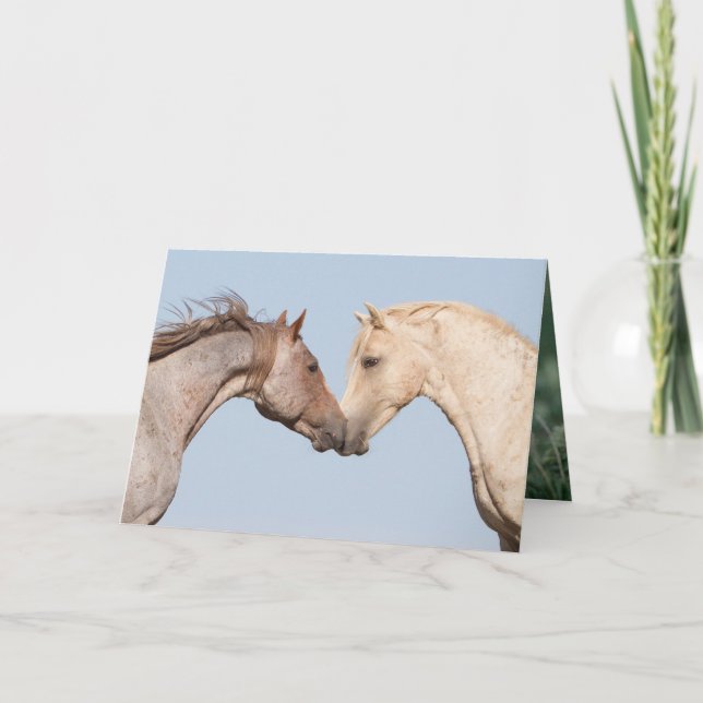 Deux Frères Rencontrer - Carte de voeux Wild Horse (Devant)