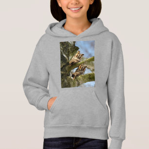 Deux hiboux dans les bois, oiseaux, faune à capuch
