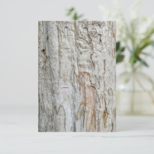Deux invitations pour l'Arbre de Vie
