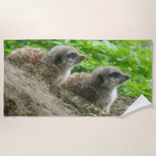 Deux Jolies serviettes de plage Meerkats