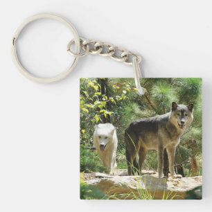 Deux loups gris dans la forêt