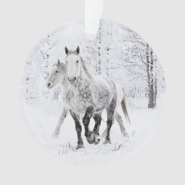 Deux Mares Percheron courent dans l'ornement de ne (devant)