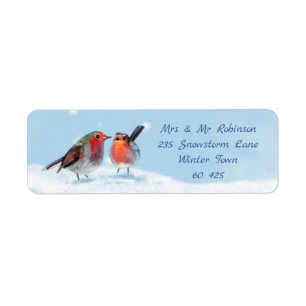 Deux merles, neige
