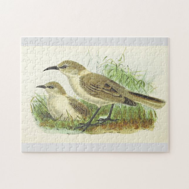 Deux oiseaux au puzzle du sol (Horizontal)