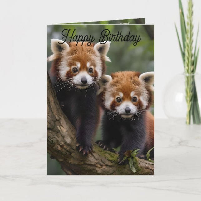 Deux pandas rouges bébé, carte d'anniversaire (Devant)