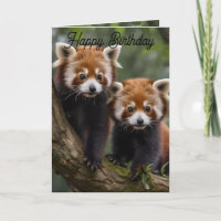 Deux pandas rouges bébé, carte d'anniversaire