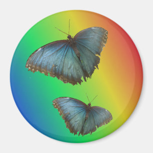 Deux papillons bleus en morpho Aimant arc en ciel