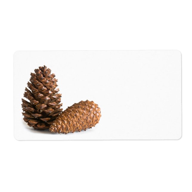 Deux pinecones (Devant)