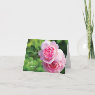 Deux Pink Roses, carte blanche