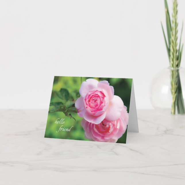 Deux Pink Roses, carte blanche (Devant)